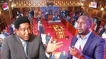 LIVE: Fireworks in Senate after Raila Family endorsed Kalonzo for president 2027!