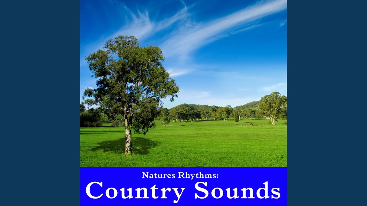 Peaceful Countryside Sounds for Emotional Healing and Well Being