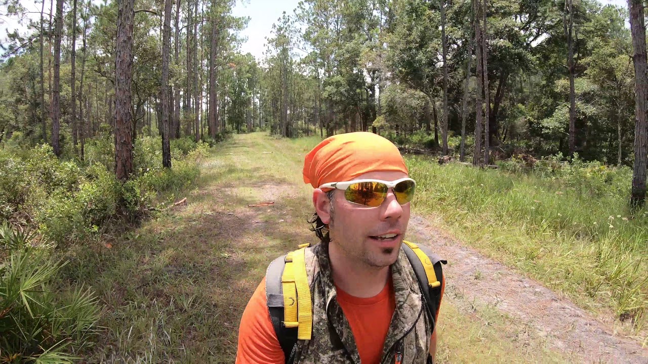 geocaching zaragoza Checking in from The Green Swamp (Thank you for your support!)