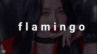 botopass - flamingo (𝑠𝑙𝑜𝑤𝑒𝑑 𝑛 𝑟𝑒𝑣𝑒𝑟𝑏)