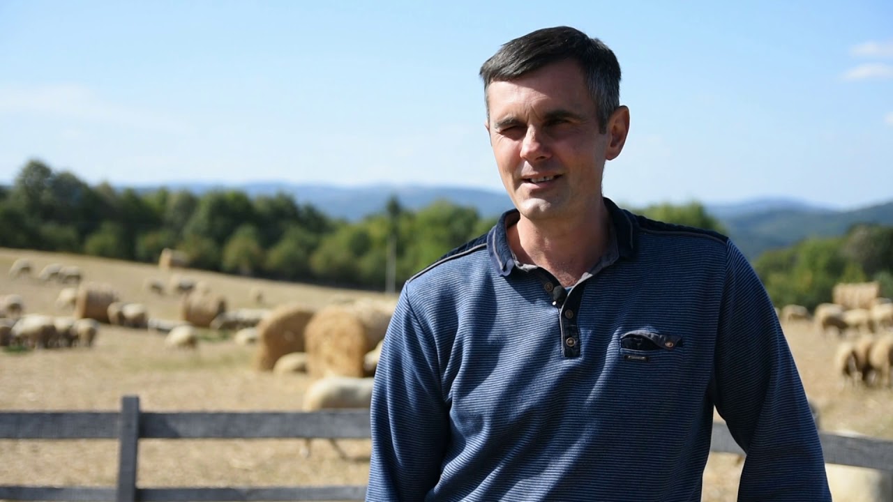 Moravički stampedo - farma buša i sjeničkih pramenki