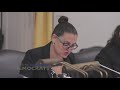 Pintor Marin on FY2020 Budget Proposal