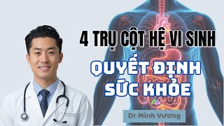 Ruột Là Bộ Não Thứ Hai Quyết Định Sức Khỏe – Bí Mật Từ 4 Trụ Cột Hệ Vi Sinh  Kiến Thức Sức Khỏe 365