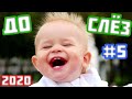 Лучшие приколы. До слёз! | best coub compilation | vol.5