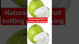 Natural guavafruit cutting and packing food guava fruit streetfood recipe satisfying