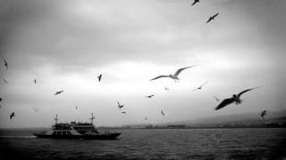 Tunicella - Hey 🍁