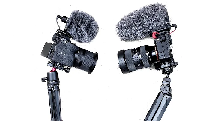 Rode VideoMicro VS VideoMic Pro + Who Wins??