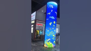 Monochrome dynamic light box