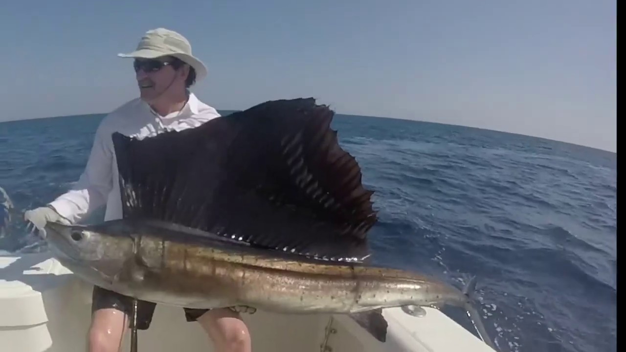 Deep sea fishing Jaco, Costa Rica - YouTube