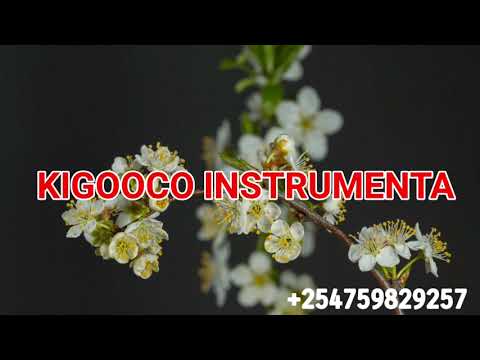 Kigooco Instrumental Beat Best For The Service