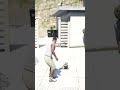 ¿A Dónde va la Mujer que Aparece con el Perro en GTA 5?