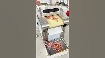 Meat Slicer｜Commercial Automatic Meat Cutting Machine，Food Processing Equipment #cuttingmachine