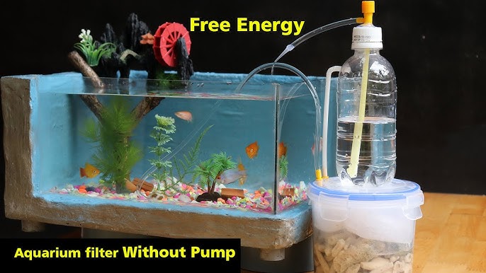 Aquarium : Prototyp eines Biofilters + Test # Biofilter / Filter