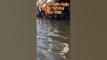 CẦN THƠ NƯỚC NGẬP 486 #shorts