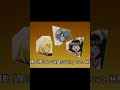 林原めぐみ・奥井雅美「Give a reason/邪魔はさせない」  Megumi Hayashibara Masami Okui &ldquo;Give a Reason&rdquo; CM