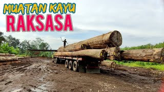 DETIK DETIK  TRAILER DATANG MEMBAWA MUATAN KAYU RC