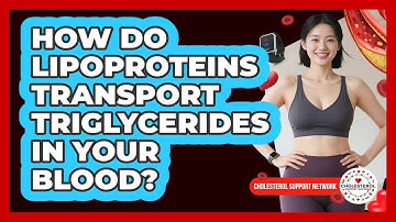 How Do Lipoproteins Transport Triglycerides In Your Blood? - Cholesterol Support Network