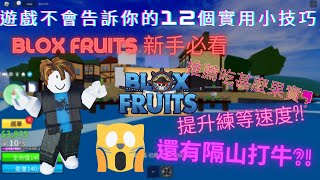 【#BloxFruit】遊戲不會告訴你的12個實用小技巧! blox fruits 新手必看 推薦吃甚麼果實? 提升鍊練等速度?! 還有隔山打牛?! 【#全字幕】| 星星腸-最弱萌騎士