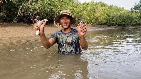 Giăng Lưới Cá Đói Và Bữa Cơm Chiều Cùng Gia Đình ( Thái Ngọc Cần Giờ )