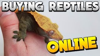 reputable online reptile stores