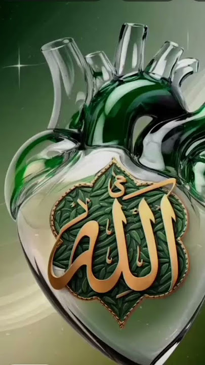 Islamic video shoot hdk xgulb๐๐๐คฒ๐คฒ weddings