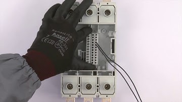 Rear plugs and sockets for Plug-in circuit breaker -  XT4 shown