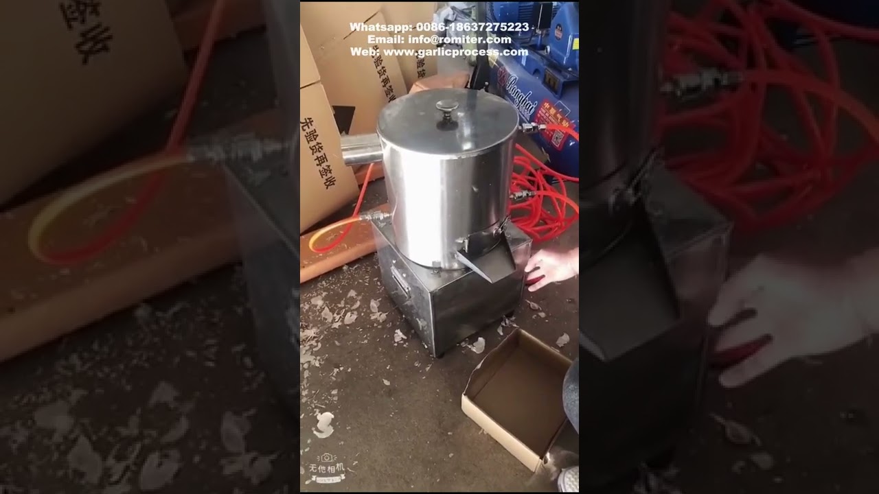 Home Garlic Peeling Machine