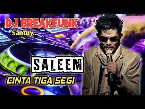 DJ BREAKFUNK Santuy❗❗❗ Saleem - Cinta Tiga Segi