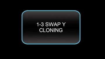 ONYX EN ESPAÑOL   1- 3 SWAP Y CLONING
