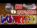 ドラクエ11【#29 LV70までのレベル上げはココだ!】メタルキングのみ出現する場所で超速レベル上げ　ドラゴンクエストXI　つちのこ実況