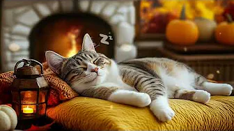 Relaxing Cat Music 🎼 Healing and Calming Sounds for Pet Sleep 🐈🎹 Calming Cat Music – Stress Relief