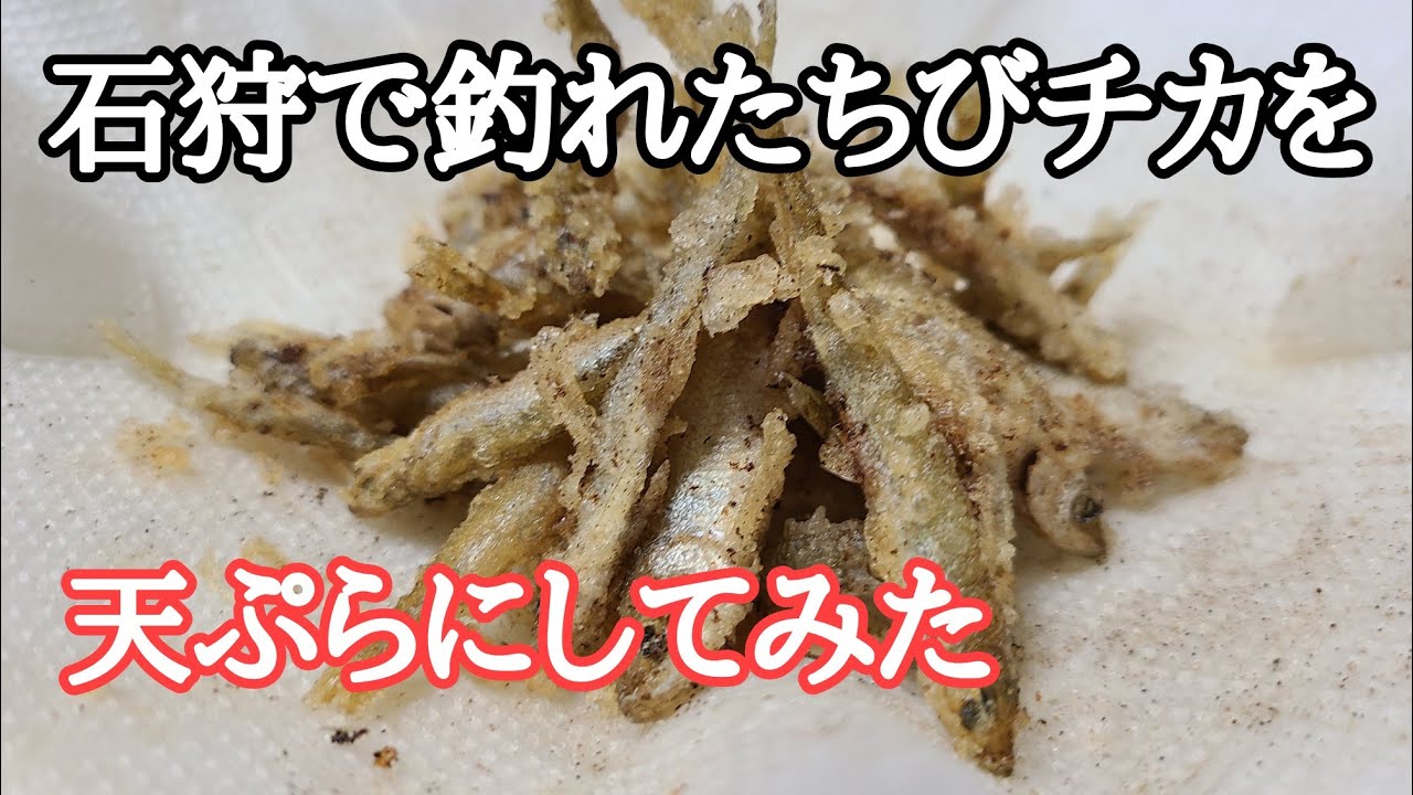 石狩で釣ったチカを天ぷらにしてみた Youtube