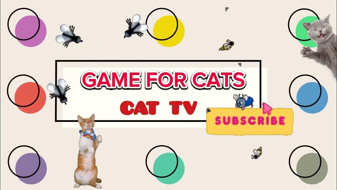 Cat Game Collection Of Games For Cats Fish Caterpillar Crab And cat-game-collection-of-games-for-cats-fish-caterpillar-crab-and