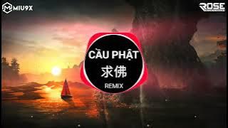 Cầu Phật Remix (DJ抖音版) 王恰恰 - 求佛 | Vương Kháp Kháp || Nhạc Hot TikTok Douyin 2023