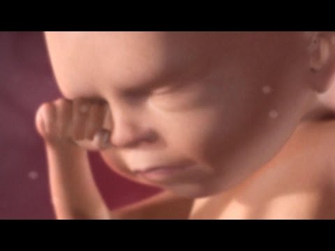 Inside Pregnancy: Weeks 21-27 | BabyCenter Video