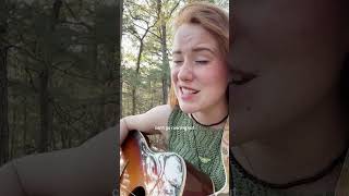 wild things by ashton irwin