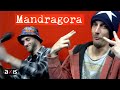 Capture de la vidéo Les Sales Nuits #5 : Mandragora - Interview