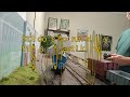 Gracefield Branch Sn3 Layout|Update and random running