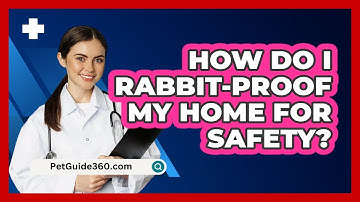 How Do I Rabbit-proof My Home For Safety? - PetGuide360.com
