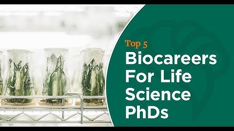 What If There Are No Jobs For My PhD Background?