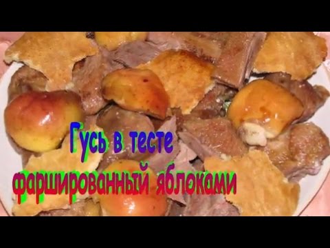 Рецепты блюд из дикого гуся