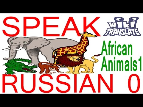 Африканские животные 1 (African animals 1) | RUSSIAN 0