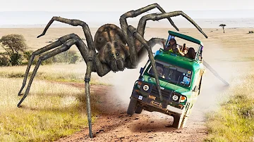 O que aconteceria se as aranhas fossem extintas?