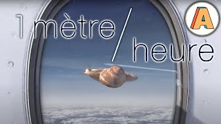 1 METRE/HEURE - Court-métrage d'animation par Nicolas Deveaux - HD - Film Complet - France