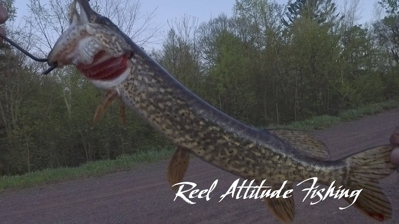 Fishing Northern Wisconsin Boat Landings on Clear Lake, Sand Lake, Island Lake and Deer Lake