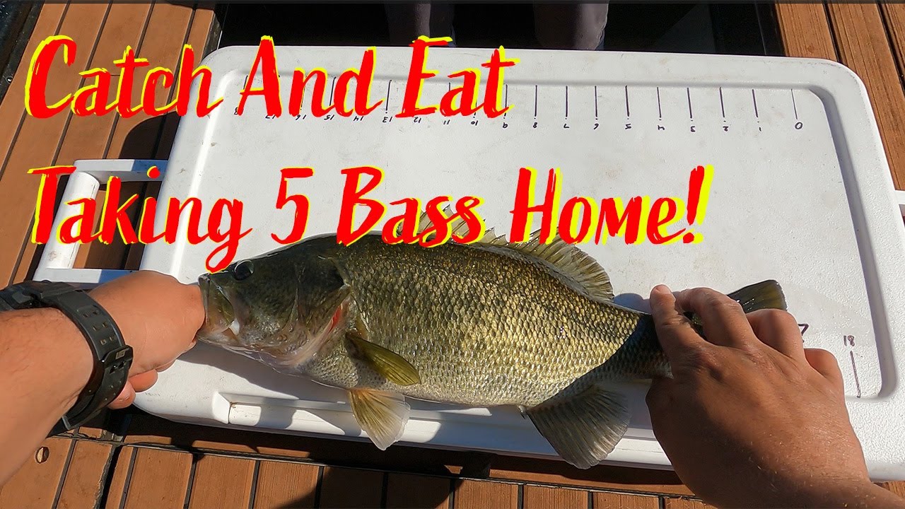 Lake Perris bass fishing: Catch and harvesting 5 bass. #lakeperrisfishing #winterbassfishing