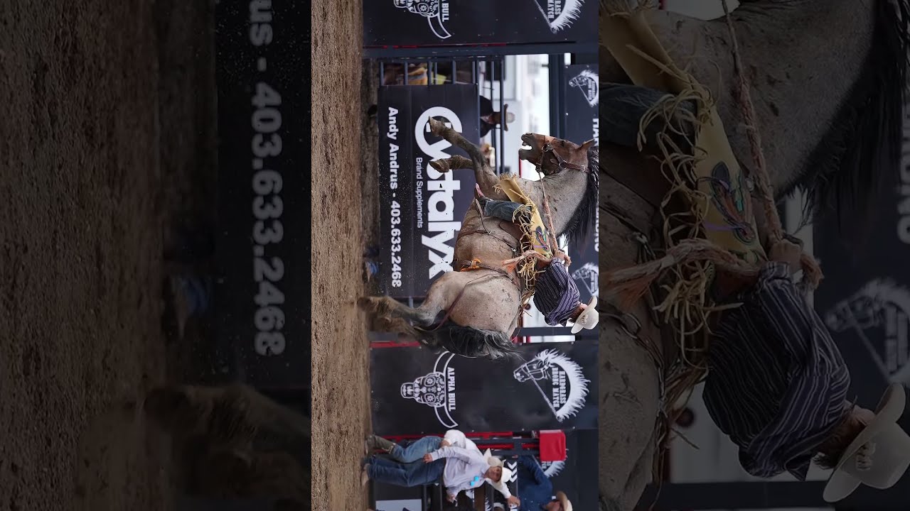 Some Rides You Win Just Survive Rodeo Ranchbronc