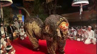 Sesolahan Ratu Gede Sesuunan Pura Dalem Kedewatan Ubud Calonarang Pura Dalem Suargan 2 Juli 2022