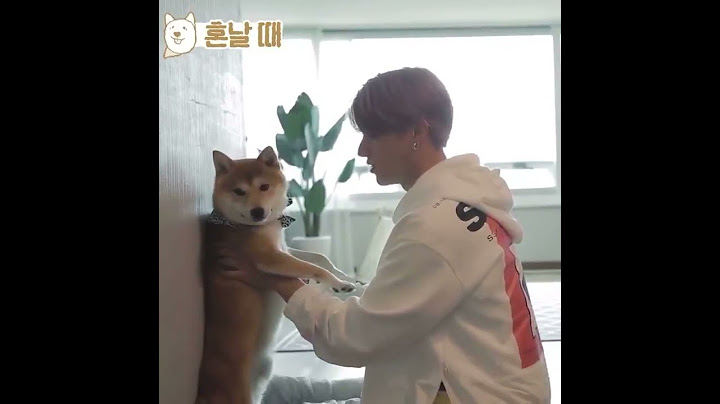 [에이티즈/ATEEZ/우영] 우영이의 육아 생활