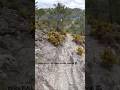 Cloudy day ☁️ #trailrunning #granada #spain #pov #4k